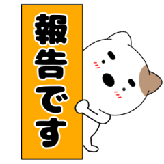 Is it a dog or a cat.