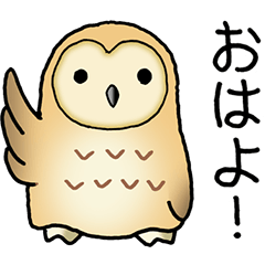 I love Owl! Part 5