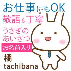 [TACHIBANA]Polite greeting. Rabbit