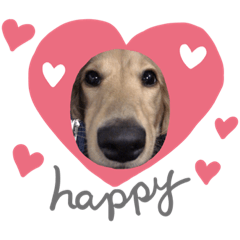 逗寶貝第二彈貼圖