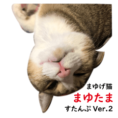 まゆげ猫 まゆたま すたんぷVer.2