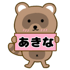 Raccoon3 Akina