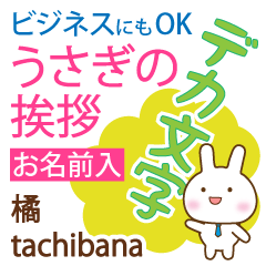 [TACHIBANA]Big letters. animal Rabbit