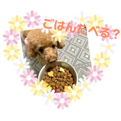 Kuu_20190406114138