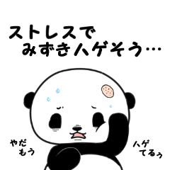 Mizuki of panda