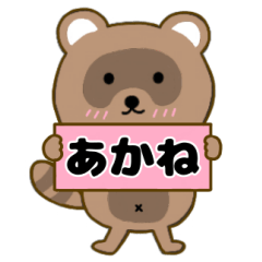 Raccoon3 Akane