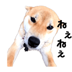 HARUNA_20190406220417