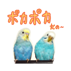 MOCHI_20190406175506