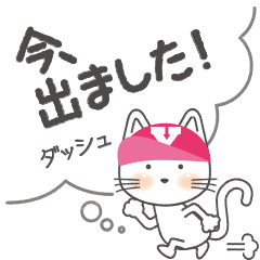 Licentious cat! Y! message ver.