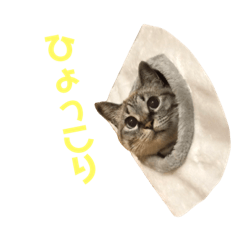 HANA_20190406181930