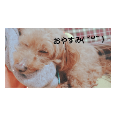 Koko_20190406193444