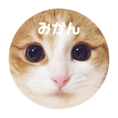 mikan cat stamps