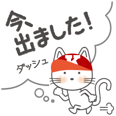 Licentious cat! K! message ver.