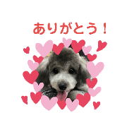 Yuki_20190407004615