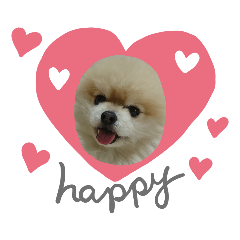 kuu-Pomeranian2