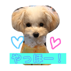 Riri_20190407145652