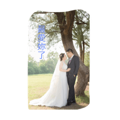 軒軒與如如