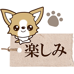 Small Chihuahua Sticker