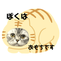 arisa_20190411072316