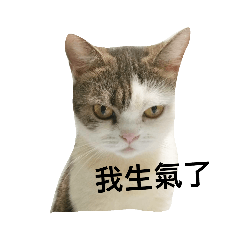 黃家動物園