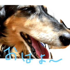 hide_20190407202954