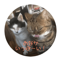 kyon_20190407143625