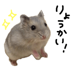 Occasionally Kansai dialect hamster