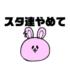 panda_20190407230920