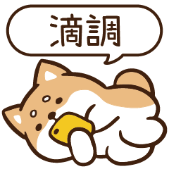 柴語錄 姓名 1193 滴調