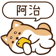 柴語錄 姓名 1178 阿治