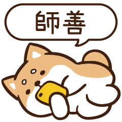 柴語錄 姓名 1188 師善