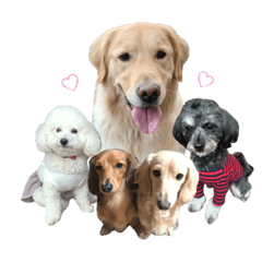 Choegang and his companions
