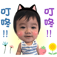 出奇土蛋egg