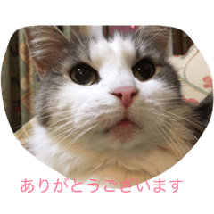 akiko_20190408135549