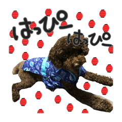 moka_20190412014810