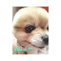 IKU_20190408162217