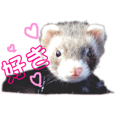 Yuka_20190408211737