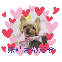 ruby_20190408210716