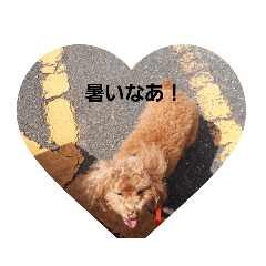 cherry_20190408233416