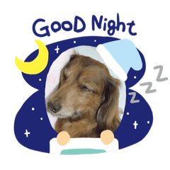 asuka_20190409003103