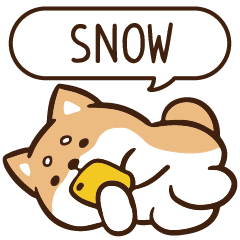 柴語錄 姓名 1101 SNOW