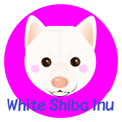 White Shiba Inu.