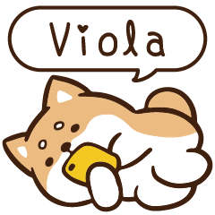 柴語錄 姓名 1118 Viola