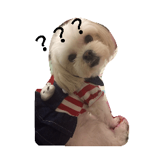 萌萌吉米
