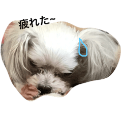 NANAMI_2019041302024