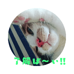 SUN_20190409134127