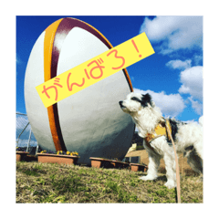 Saori_20190413230324