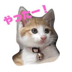 monaka's stamp190413