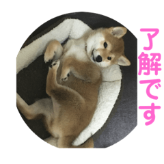 miwa_20190414090026