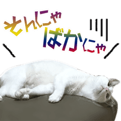 人気猫エルサ だめだめワーストショット集 Line スタンプ Line Store